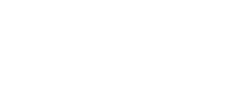 Seagull Pewter