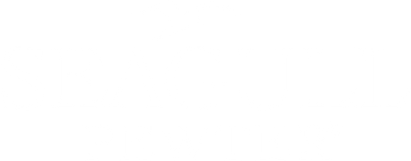 Seagull Pewter logo
