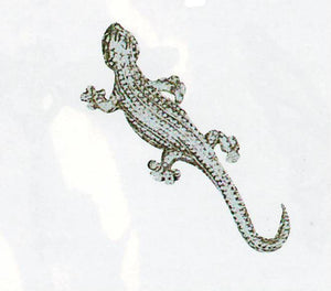 Gecko Pin JP-161